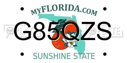 G85QZS Florida License Plate