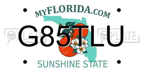 G85TLU Florida License Plate
