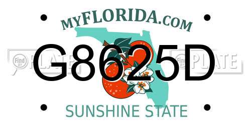 G8625D Florida License Plate
