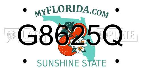 G8625Q Florida License Plate
