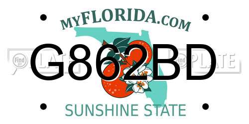 G862BD Florida License Plate