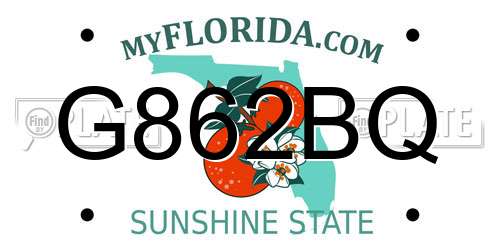 G862BQ Florida License Plate