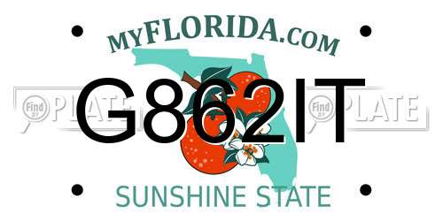 G862IT Florida License Plate