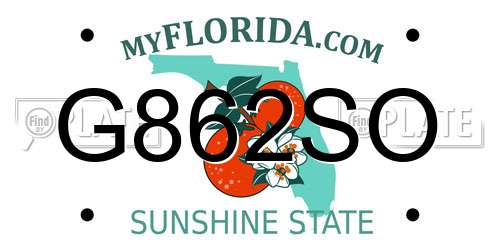 G862SO Florida License Plate