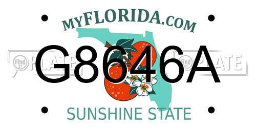 G8646A Florida License Plate