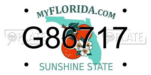 G86717 Florida License Plate