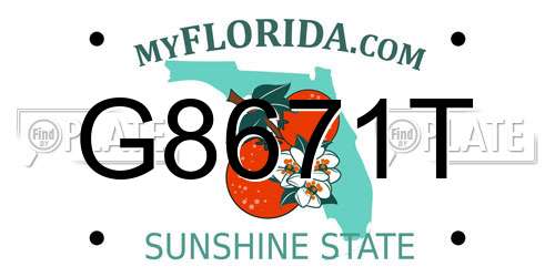 G8671T Florida License Plate