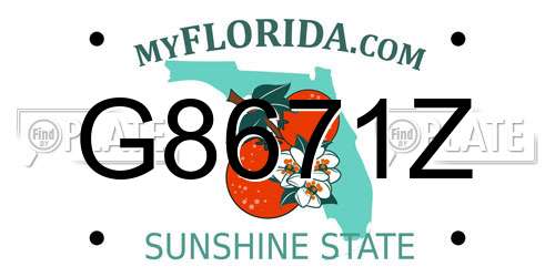 G8671Z Florida License Plate