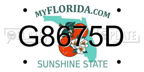 G8675D Florida License Plate
