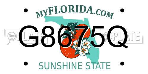 G8675Q Florida License Plate