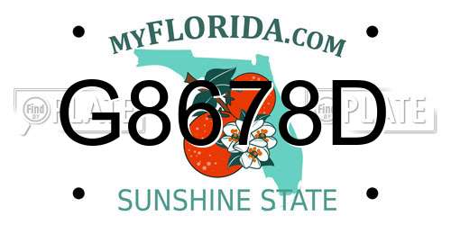 G8678D Florida License Plate