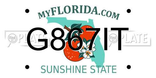 G867IT Florida License Plate