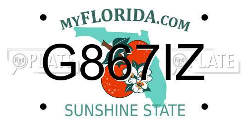 G867IZ Florida License Plate