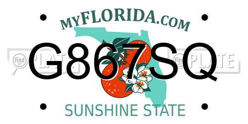 G867SQ Florida License Plate