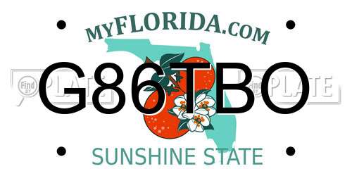 G86TBO Florida License Plate