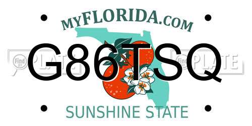G86TSQ Florida License Plate