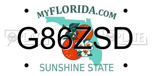 G86ZSD Florida License Plate