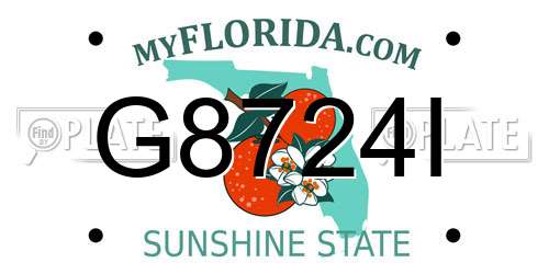 G8724I Florida License Plate
