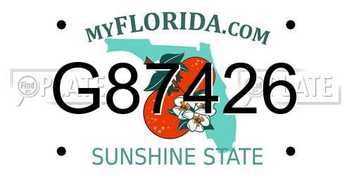 G87426 Florida License Plate