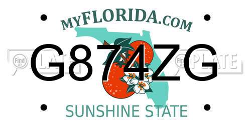G874ZG Florida License Plate
