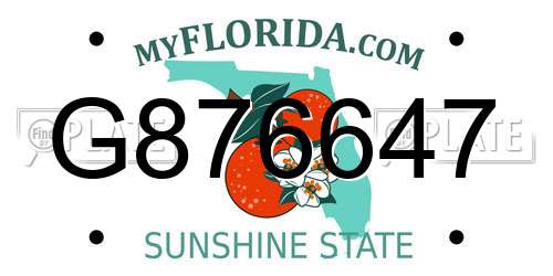 G876647 Florida License Plate