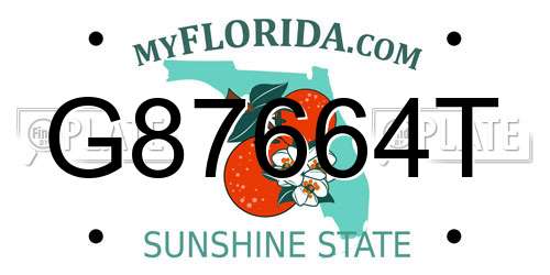 G87664T Florida License Plate