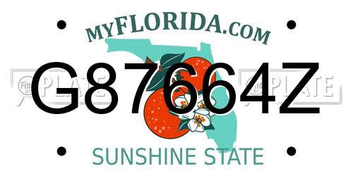 G87664Z Florida License Plate