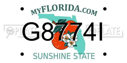 G8774I Florida License Plate