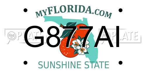 G877AI Florida License Plate