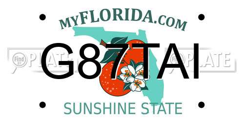 G87TAI Florida License Plate