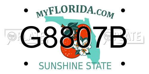 G8807B Florida License Plate