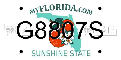 G8807S Florida License Plate