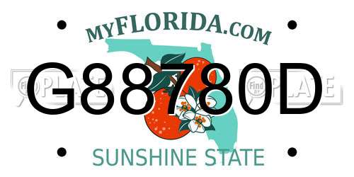 G88780D Florida License Plate