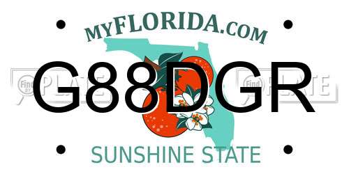 G88DGR Florida License Plate
