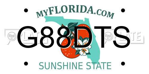 G88DTS Florida License Plate
