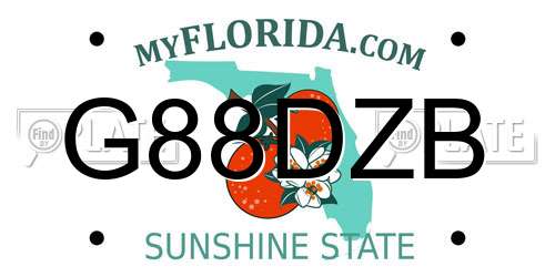 G88DZB Florida License Plate