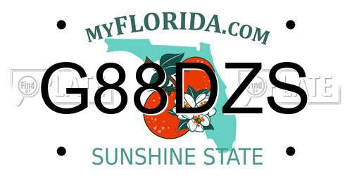 G88DZS Florida License Plate