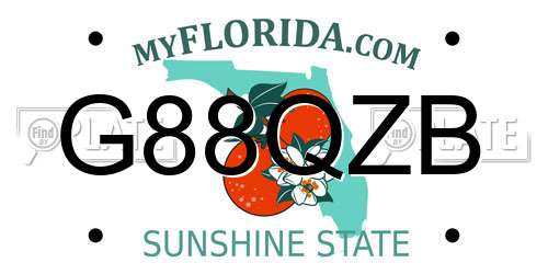 G88QZB Florida License Plate