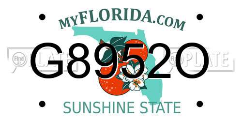 G8952O Florida License Plate