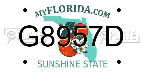 G8957D Florida License Plate