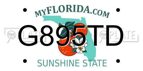 G895TD Florida License Plate