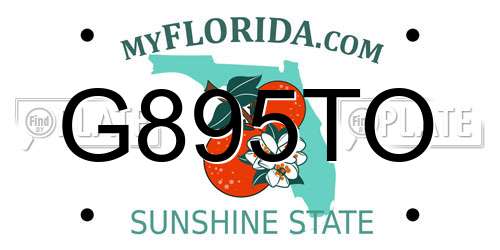 G895TO Florida License Plate