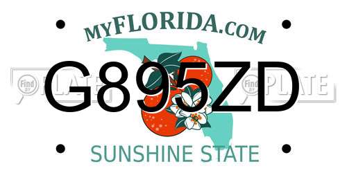 G895ZD Florida License Plate