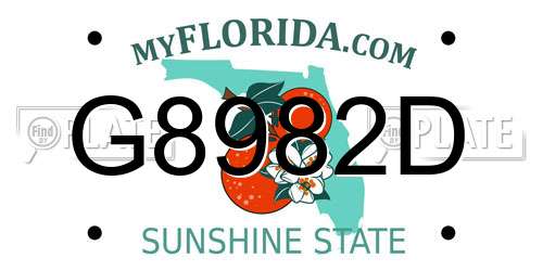 G8982D Florida License Plate
