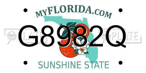 G8982Q Florida License Plate