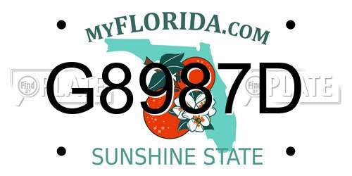 G8987D Florida License Plate