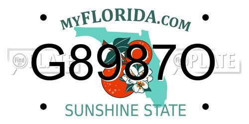 G8987O Florida License Plate