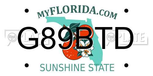 G89BTD Florida License Plate