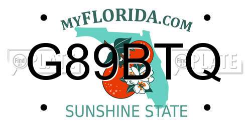 G89BTQ Florida License Plate