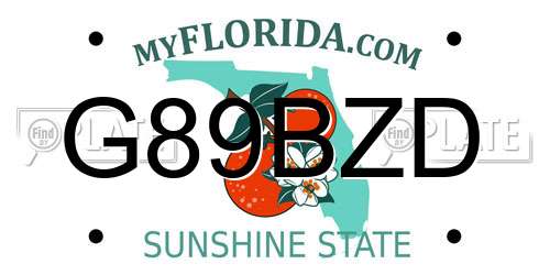 G89BZD Florida License Plate